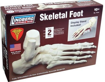 Lindberg 71314 1/1 Skeletal Foot