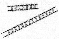 B.T.S. 3015 S Wood Ladders (4)