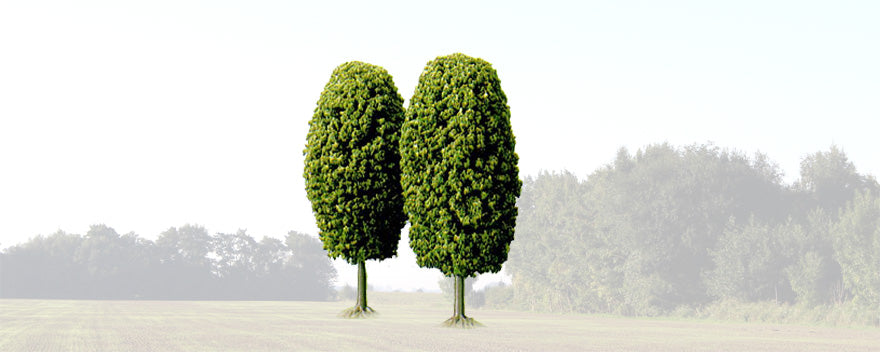 Busch 6052 HO Deciduous Trees 8mm package (Set of 2)