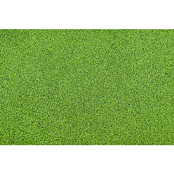 JTT Scenery Products 95413 Z Grass Mat Light Green 19x25'