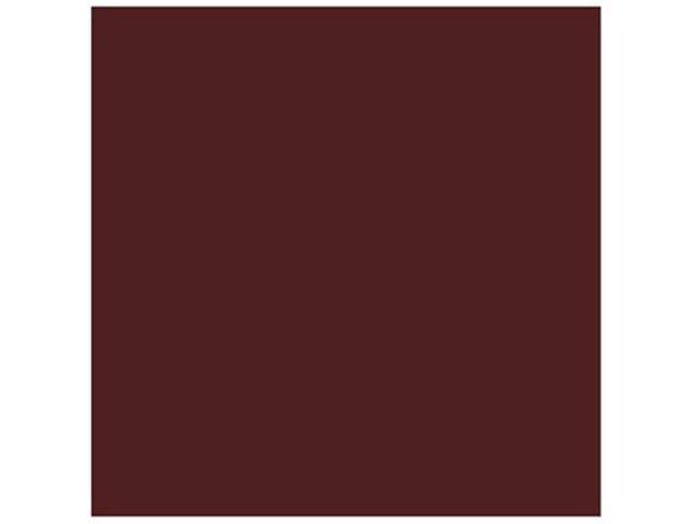 Tru-Color 163 Railroad Color Acrylic Paint SP Depot Trim Brown - 1 oz. Bottle