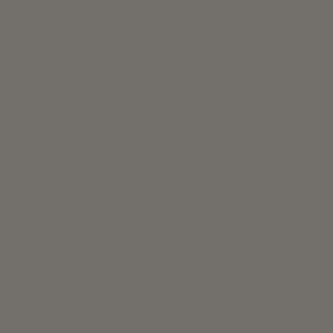 Tru-Color 412 Sprayable Paint Matte Steel - 1 oz. Bottle