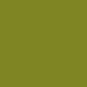 Tru-Color 553 Automobile Color Acrylic Paint Nitro Yellow Green - 1 oz. Bottle