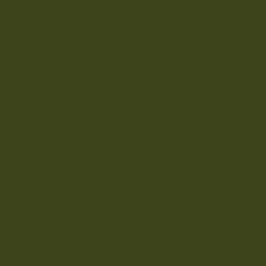 Tru-Color 1209 Military Acrylic Aircraft FS-34102 F-4 Light Green 1oz. Bottle