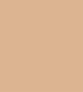 Tru-Color 1222 Military Acrylic Colors: Aircraft FS-30279 Sand - 1 oz. Bottle