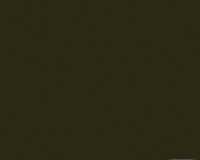 Tru-Color 2255 Railroad Color Acrylic Paint SF Heavy Weight Green - 2 oz. Bottle