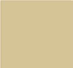 Tru-Color 863 Brushable Paint Flat Tan Flesh - 1 oz. Bottle