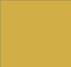 Tru-Color 873 Brushable Paint Flat North European Dust - 1 oz. Bottle