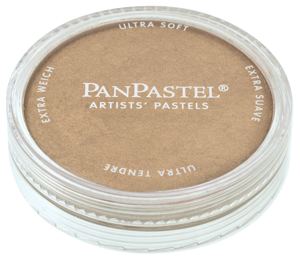 PanPastel 29305 930.5 Bronze Pastel