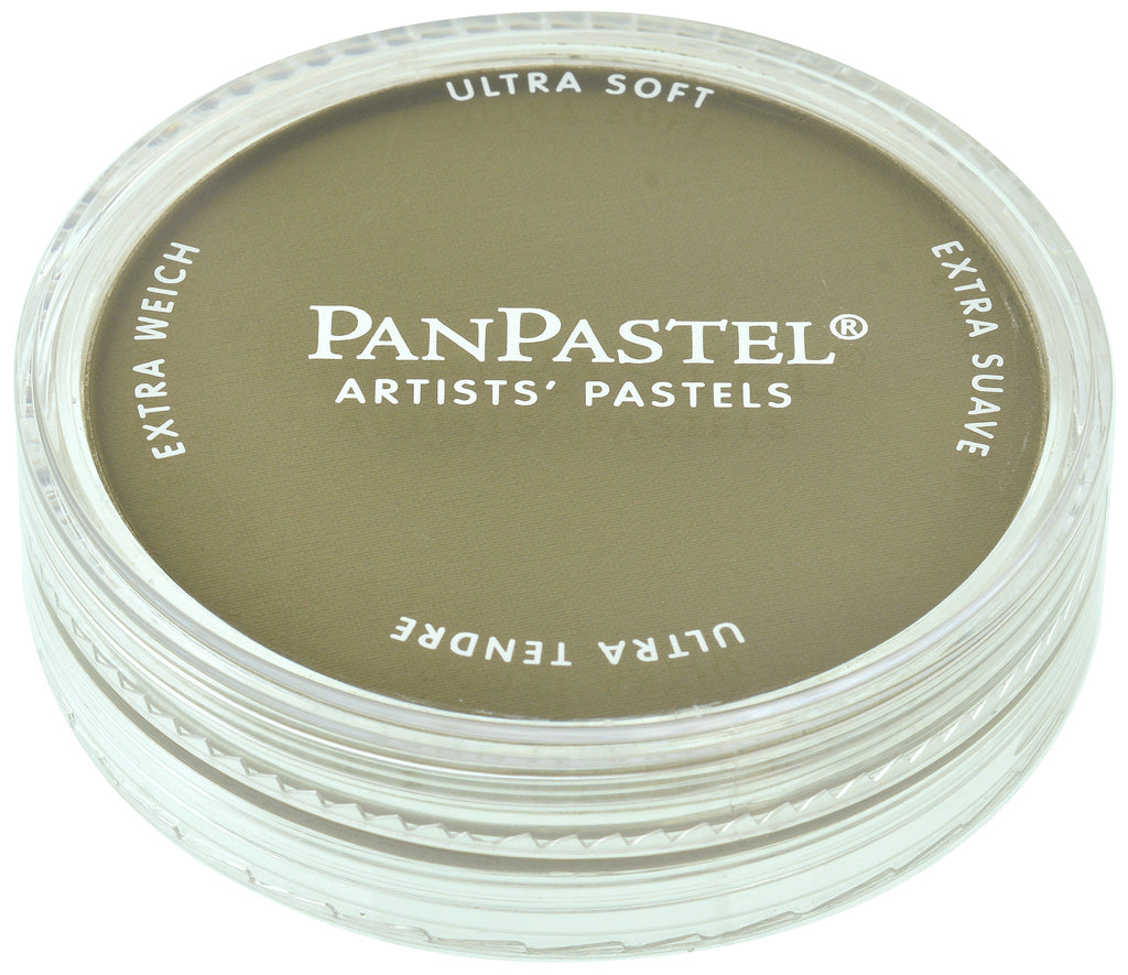 PanPastel 22201 220.1 Hansa Yellow Extra Dark