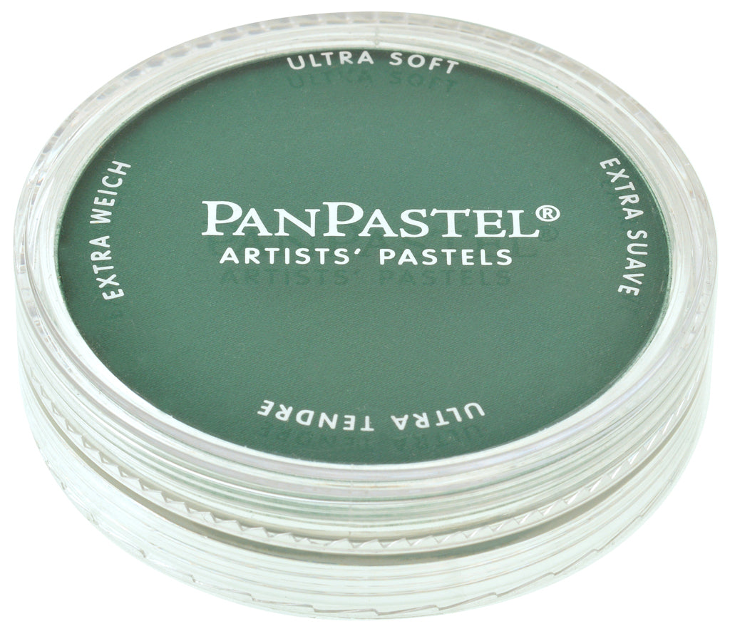 PanPastel 26203 620.3 Phthalo Green Shade