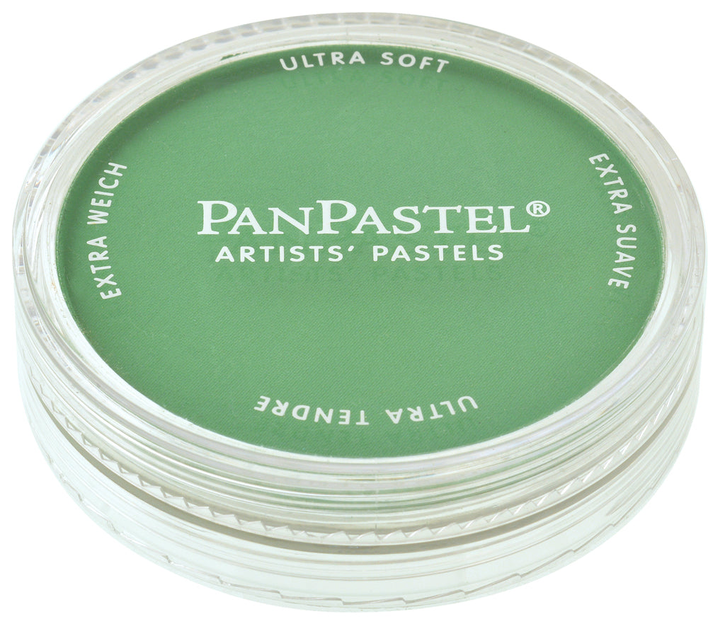 PanPastel 26405 640.5 Permanent Green