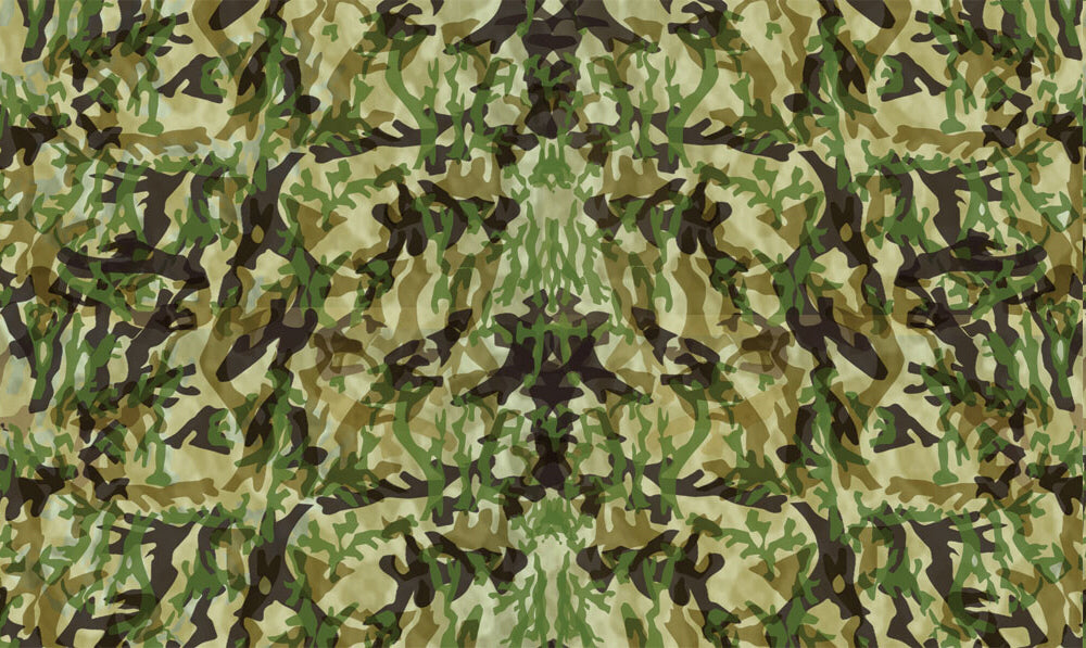 Pinecar 3978 Camouflage Body Skin Decals