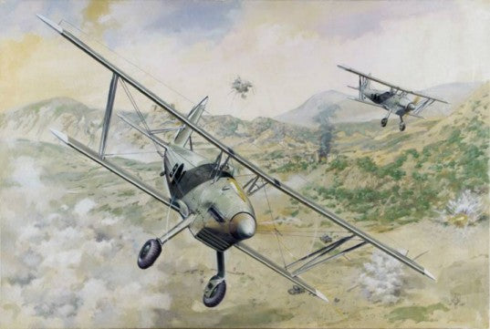 Roden Models 427 1:48 Arado Ar 68E Military Aircraft Plane Model Kit