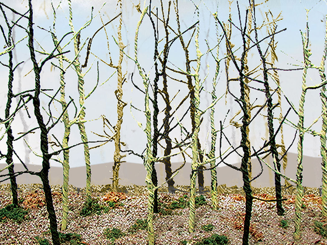 Bachmann 32509 Bare Wood's Edge Trees (Set of 14)