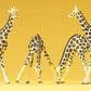 Preiser 79715 N Animals - Giraffes Figures (Set of 4)