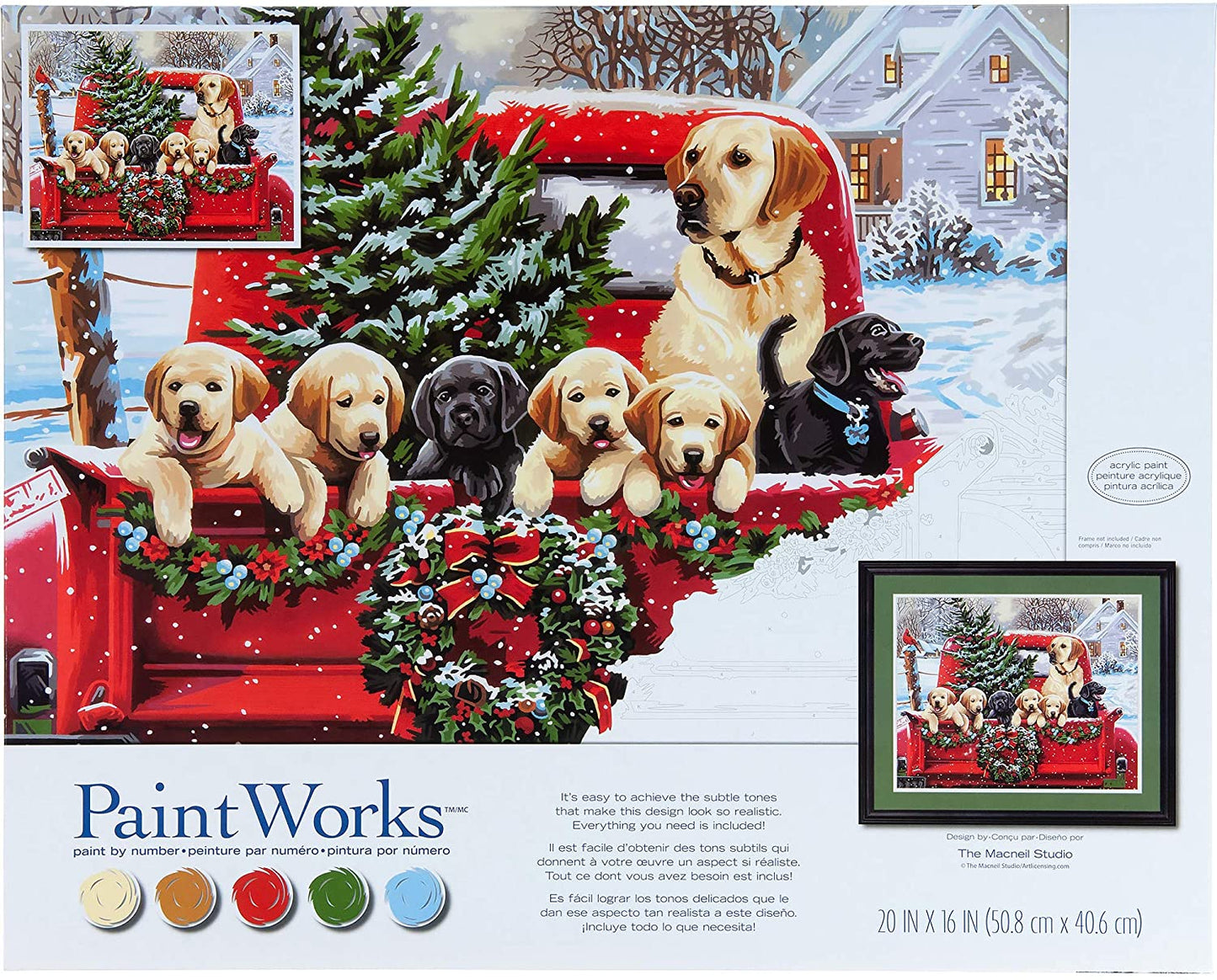 Paintworks Paint by Number 91773 20" x 16" Holiday Puppy Truck