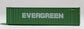 Walthers 933-3403 N Evergreen 40' High Cube Container