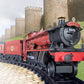 Lionel 7-11080 G Scale Harry Potter Hogwart's Express Steam Train Set