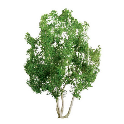 JTT Scenery Products 96014 HO And N 4" Professional Snow Gum Tree (Box of 2)