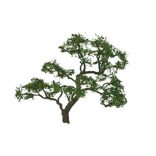 JTT Scenery Products 96059 HO 4" Professional Beech Tree