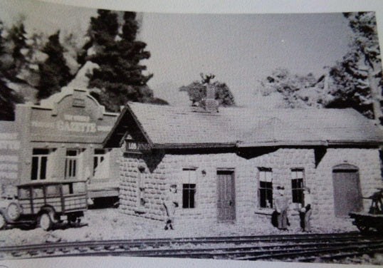 Model Master 109 HO Lyons Depot Building Kit