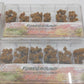 The N Scale Architect 1- 60005 Lot of 4 N Scale Fall Trees Mix 60502 60505 60004