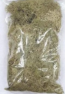 IHC 87100 HO Lichen Dark Green Bag 2 1/2 Oz.