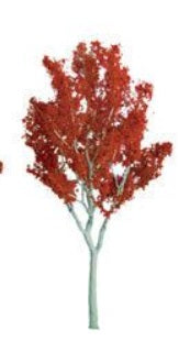 JTT Scenery Products 94345 N And Ho 3" Japanese Maple Tree (Box of 3)