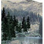 Woodland Scenics TR1081 4