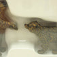 Preiser 47518 G Brown Bear Cubs Figures (Set of 2)