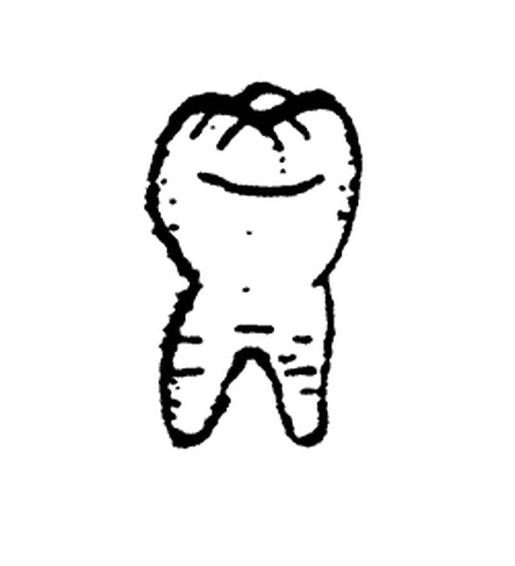 Scale Structures 2373 HO Large Tooth Dentist's Sign
