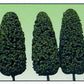 Model Power 1436 O Dark Green Summer Trees (5)