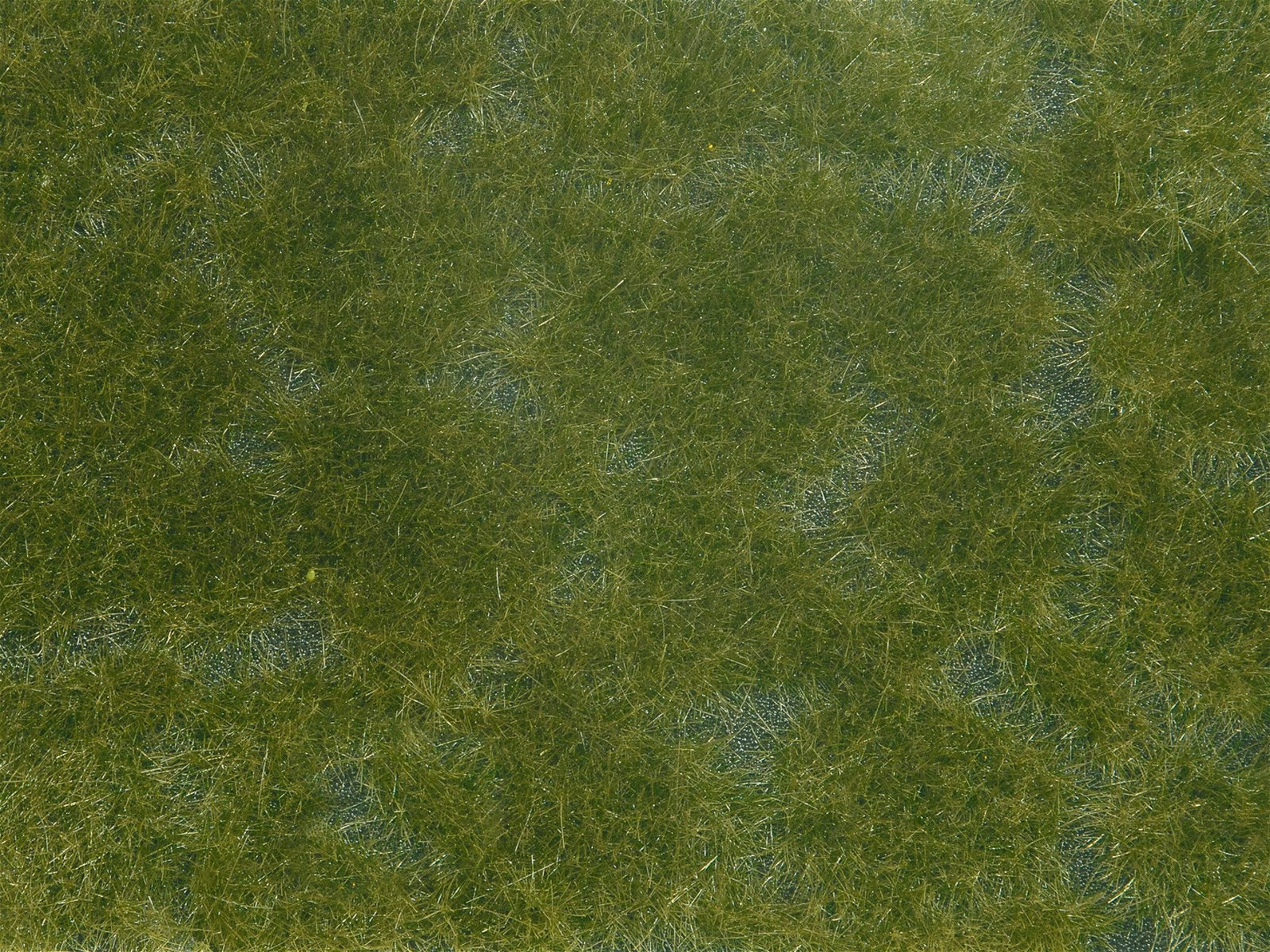 Noch 07252 Dark Green Groundcover Foliage