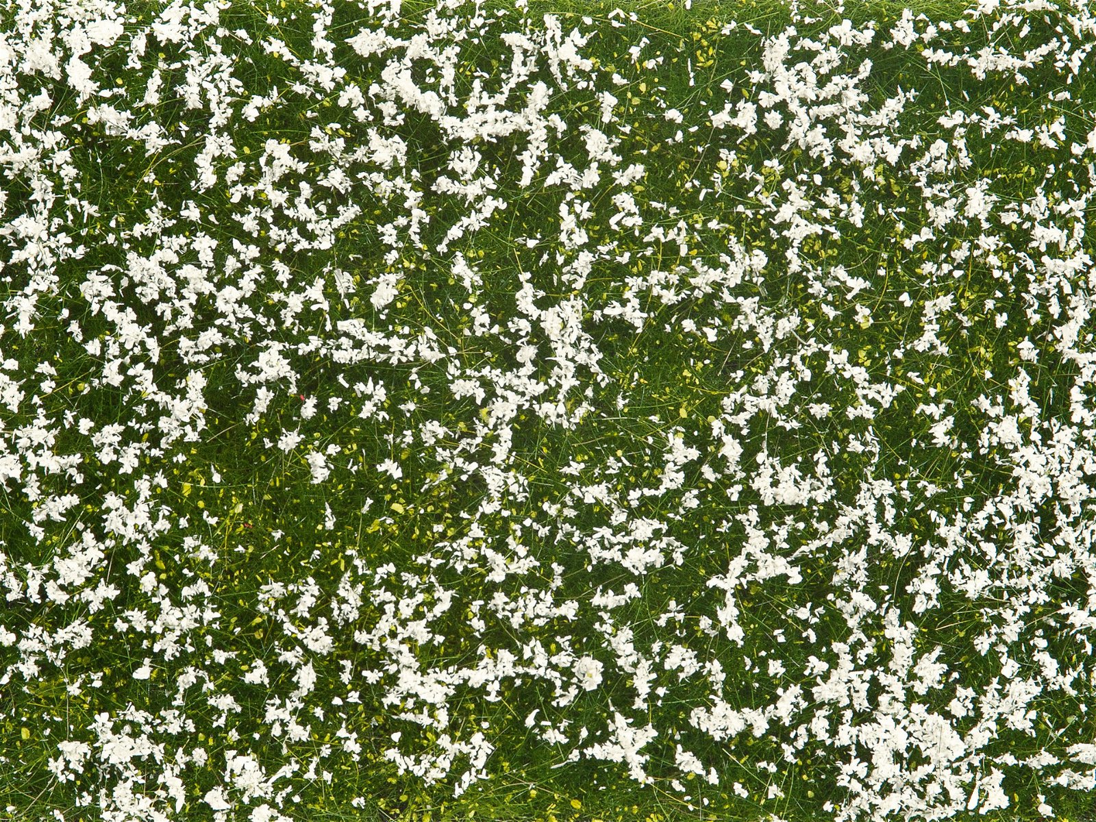Noch 07256 Meadow White Groundcover Foliage