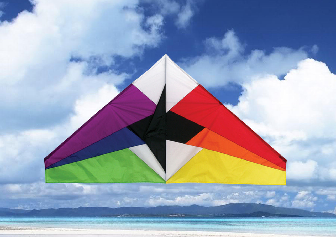 Sky Dog Kites 11151 55" Rainbow Delta Kite